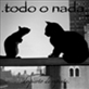 Todo o nada - Despierto de repente