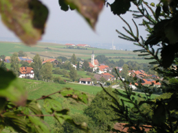 Borg y al fondo Austria