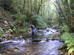 En el rio. Asturias