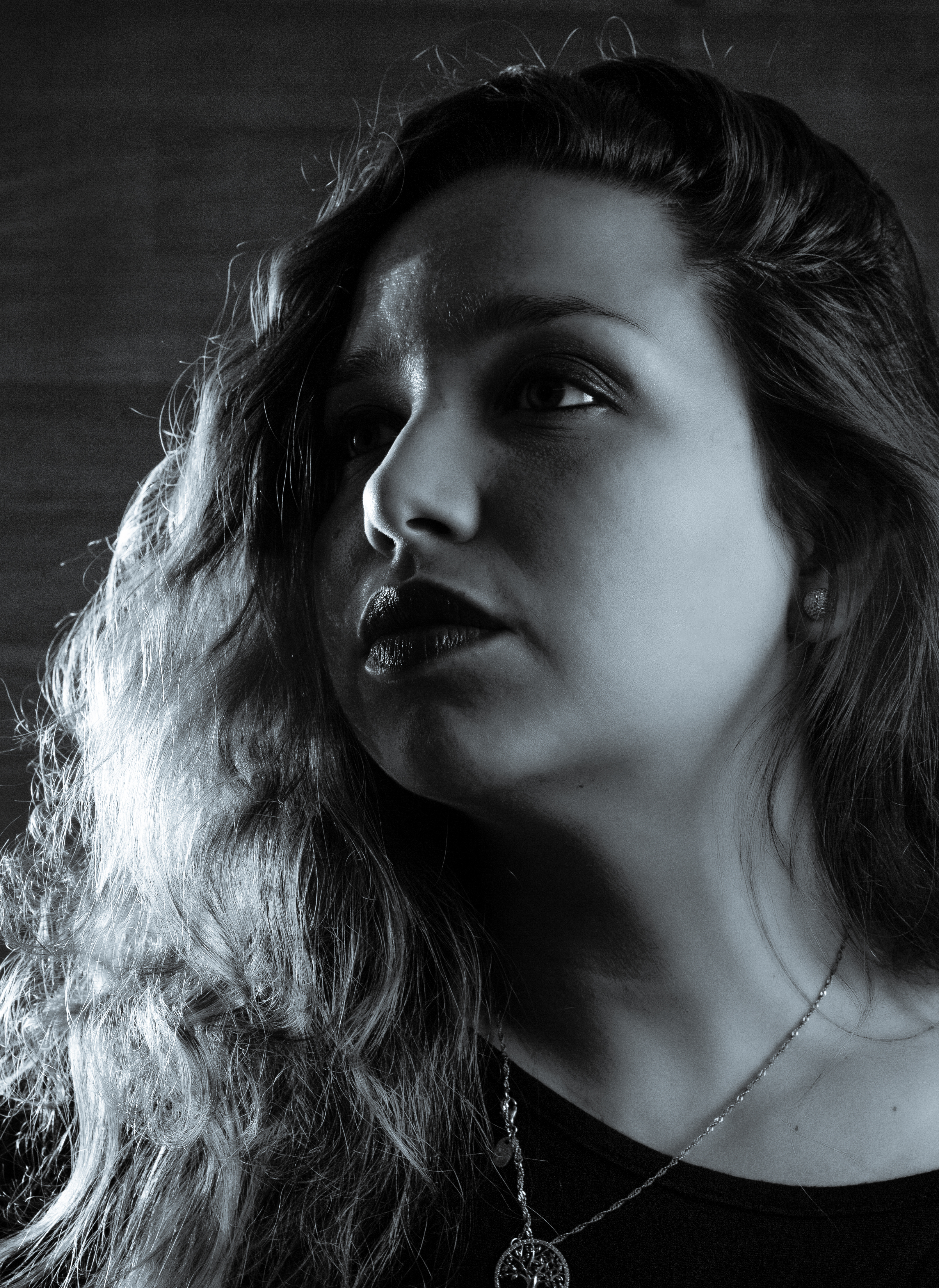 Elaine Vilar Madruga